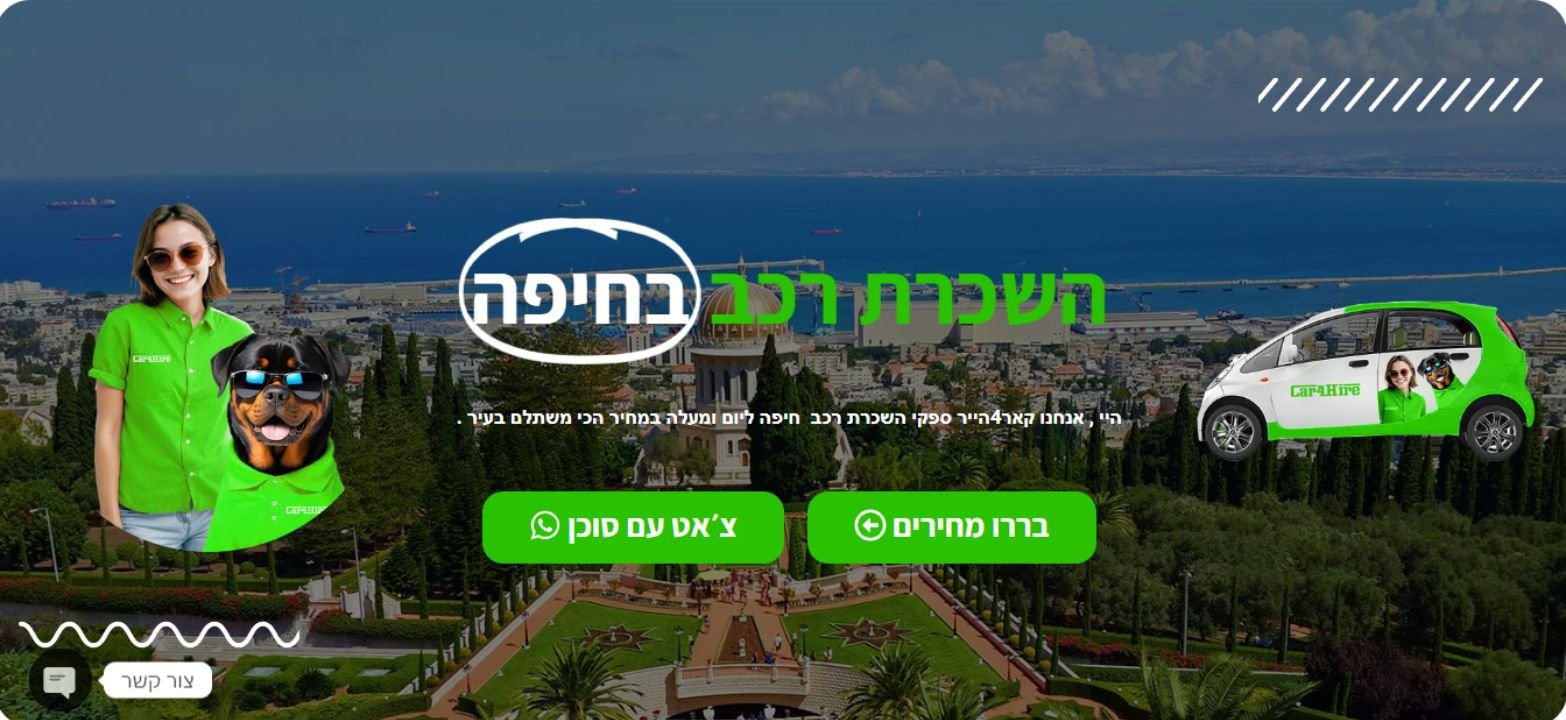 rental car website